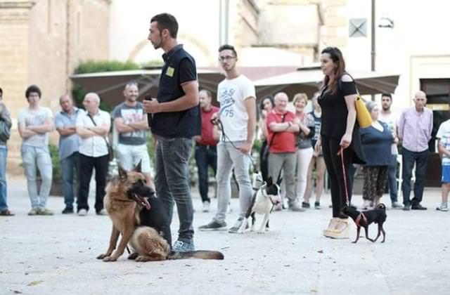 Totino Addestramento E Pensione Per Cani